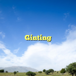 Ginting